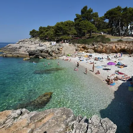 Silver Luxury Lägenhet